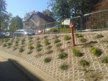 teren zieleni publicznej
